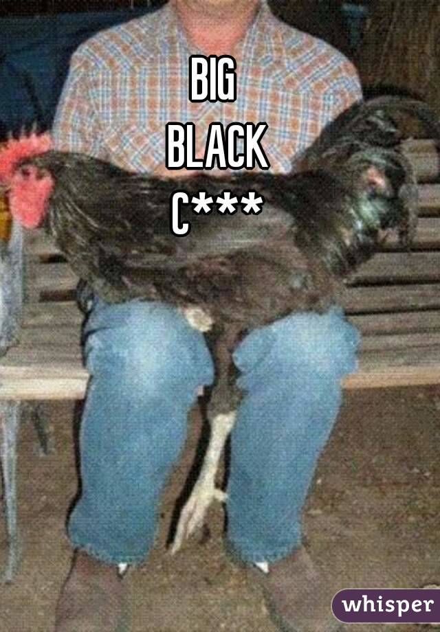 Big Black C